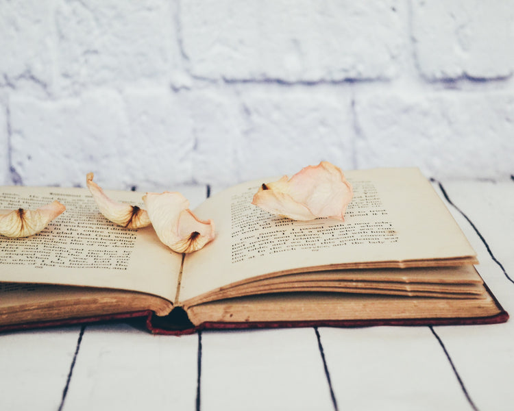 Romance Novels