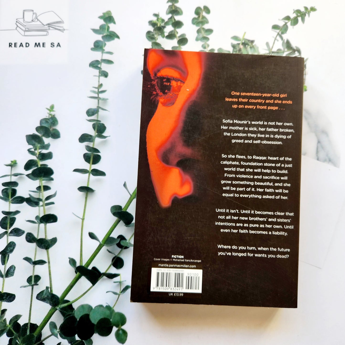 The House On Fripp Island