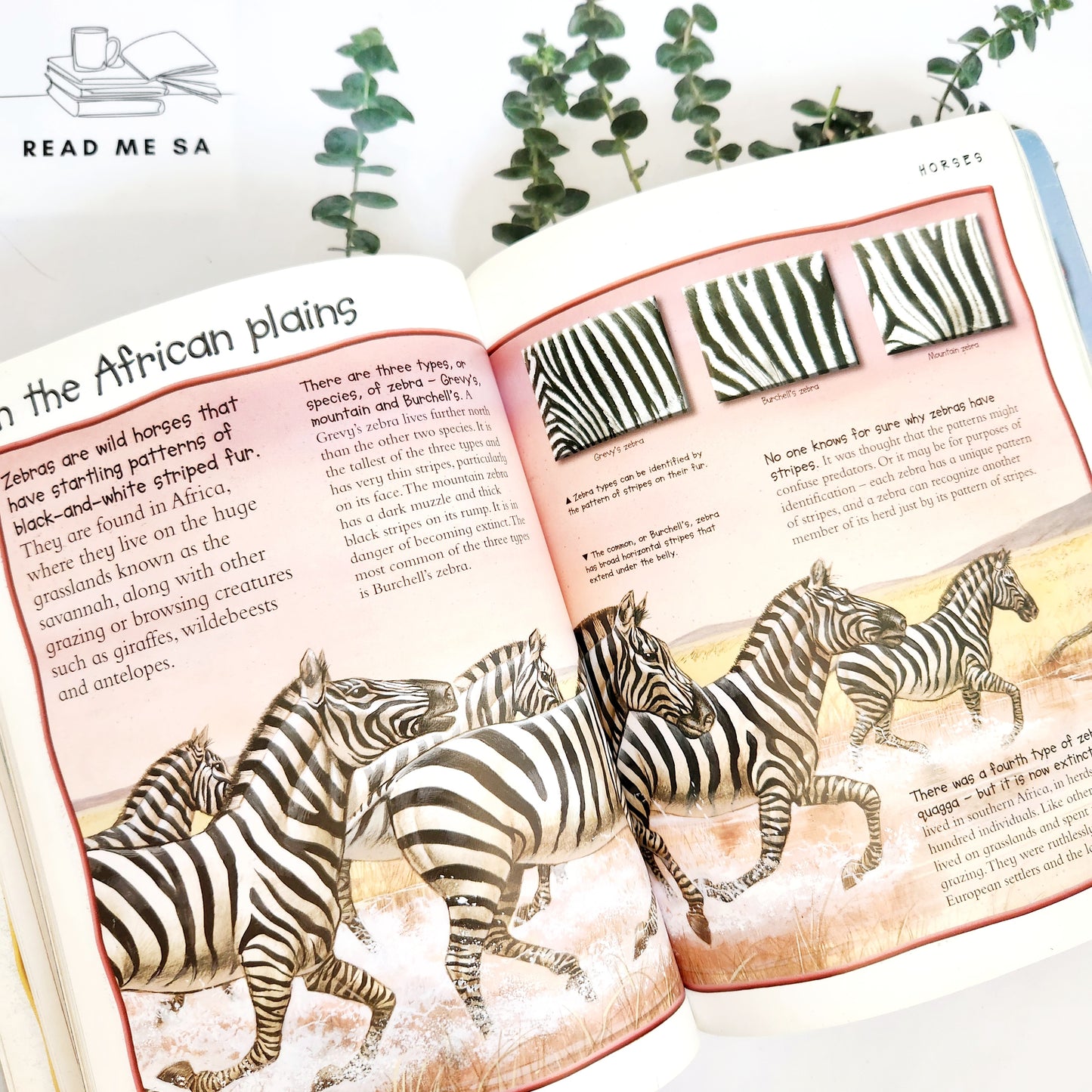 World Of Animals Encyclopedia