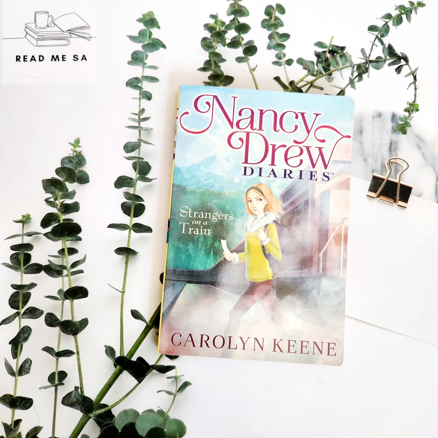 Nancy Drew Diaries