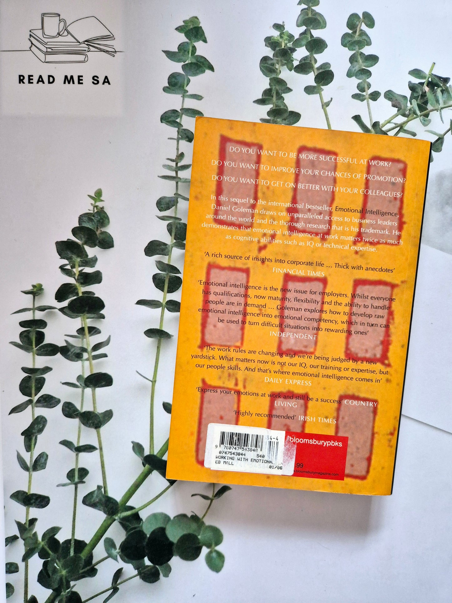 Working With Emotional Intelligence