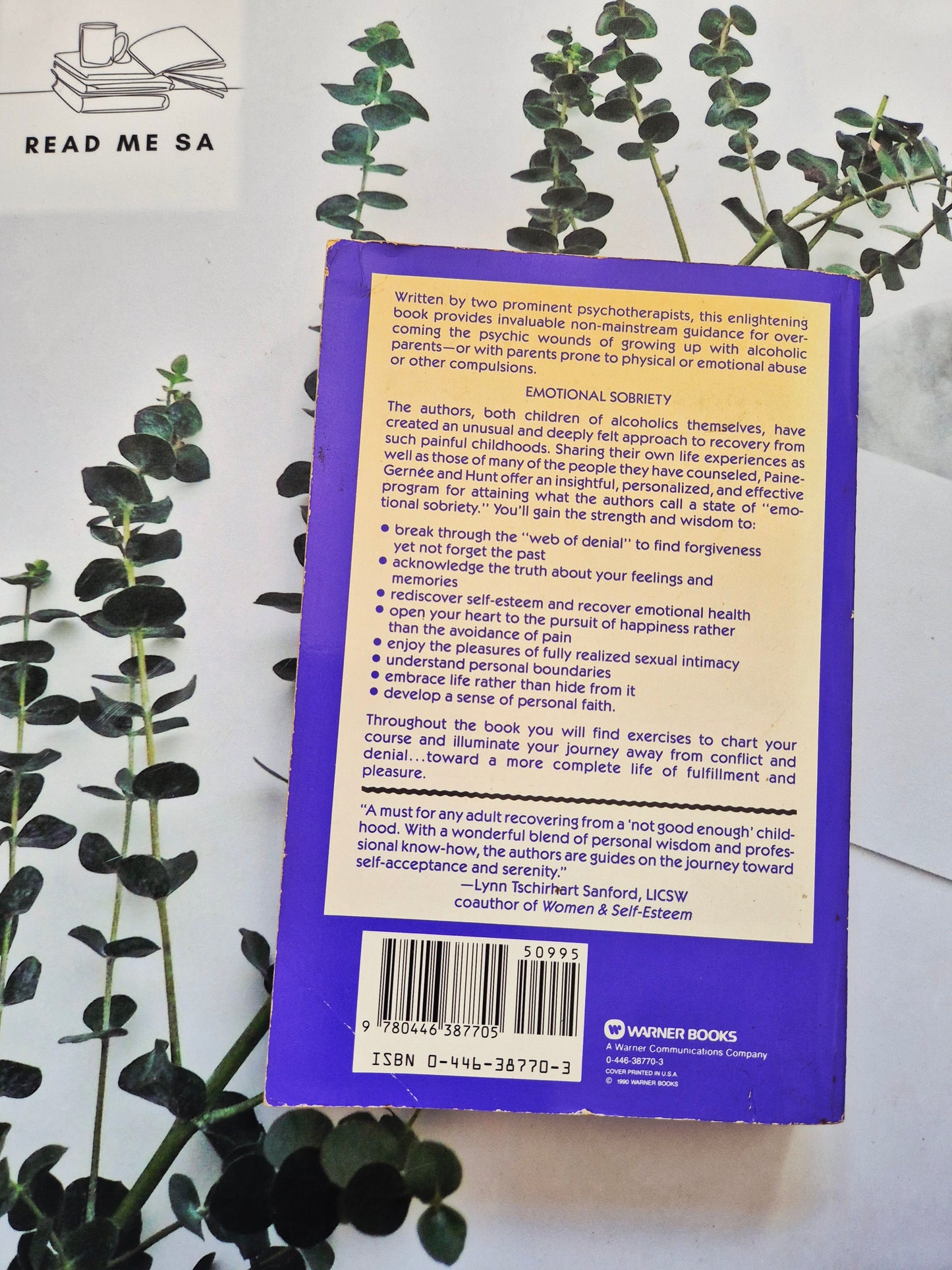 Emotional Healing - Emotional Sobriety