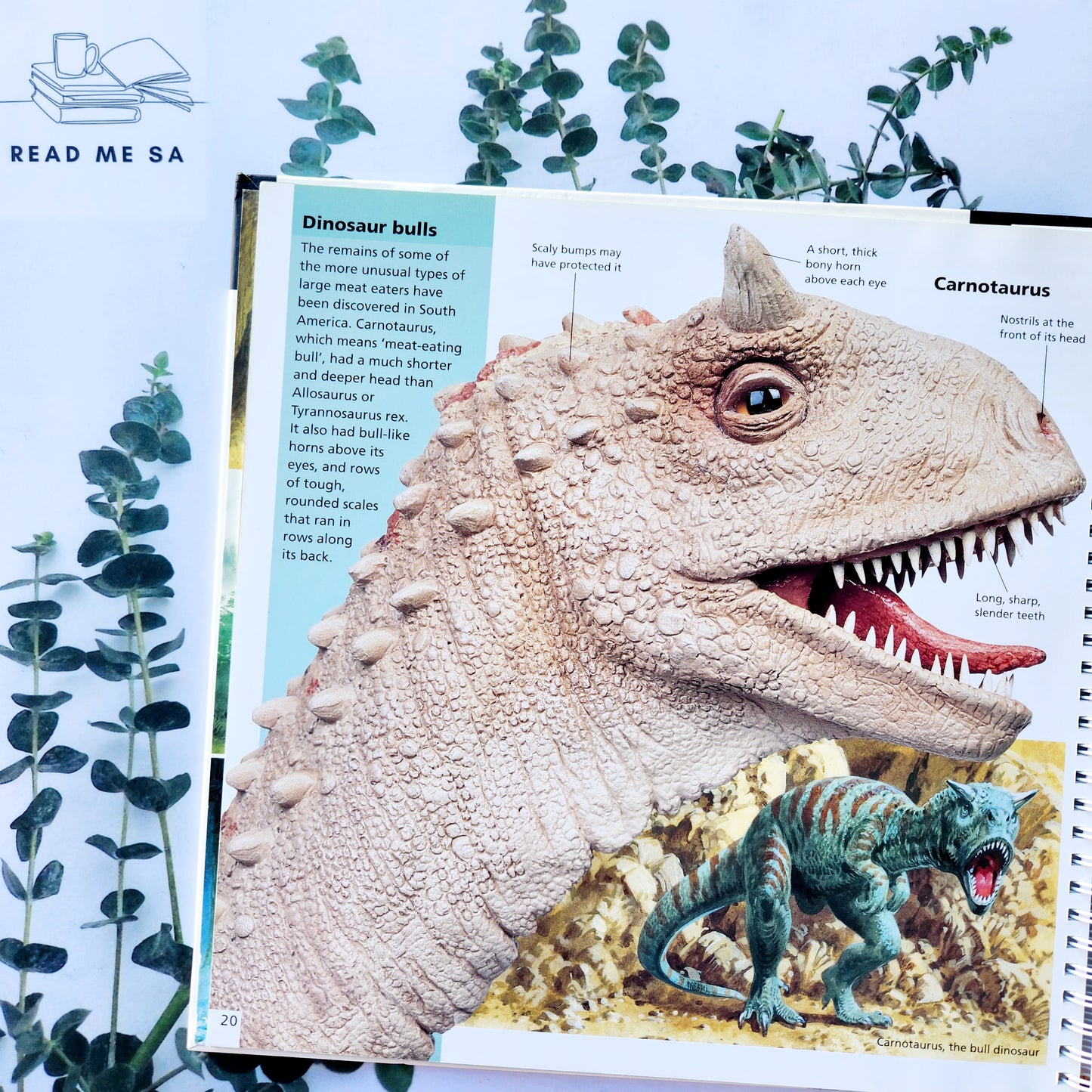 My Big Dinosaur World (Hardback & ringbound)