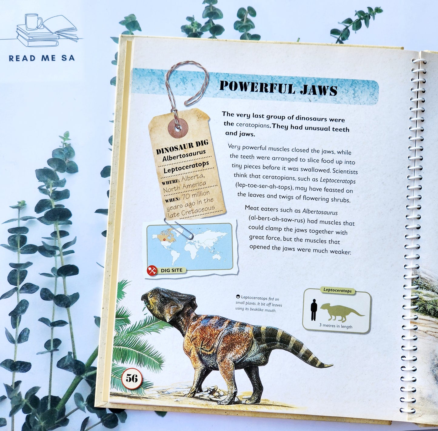 The Great Big Book Of Dinosaurs