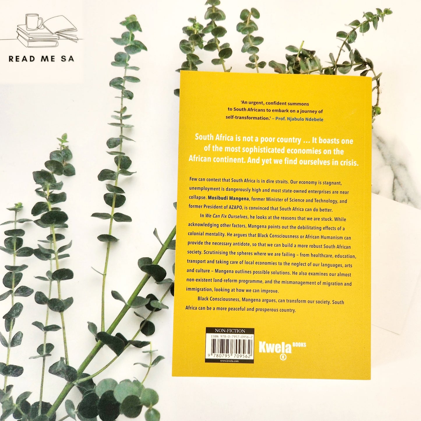 We Can Fix Ourselves