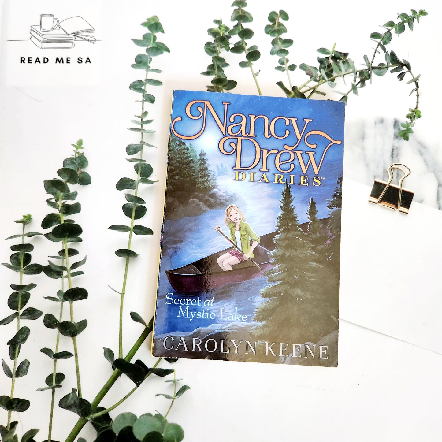 Nancy Drew Diaries
