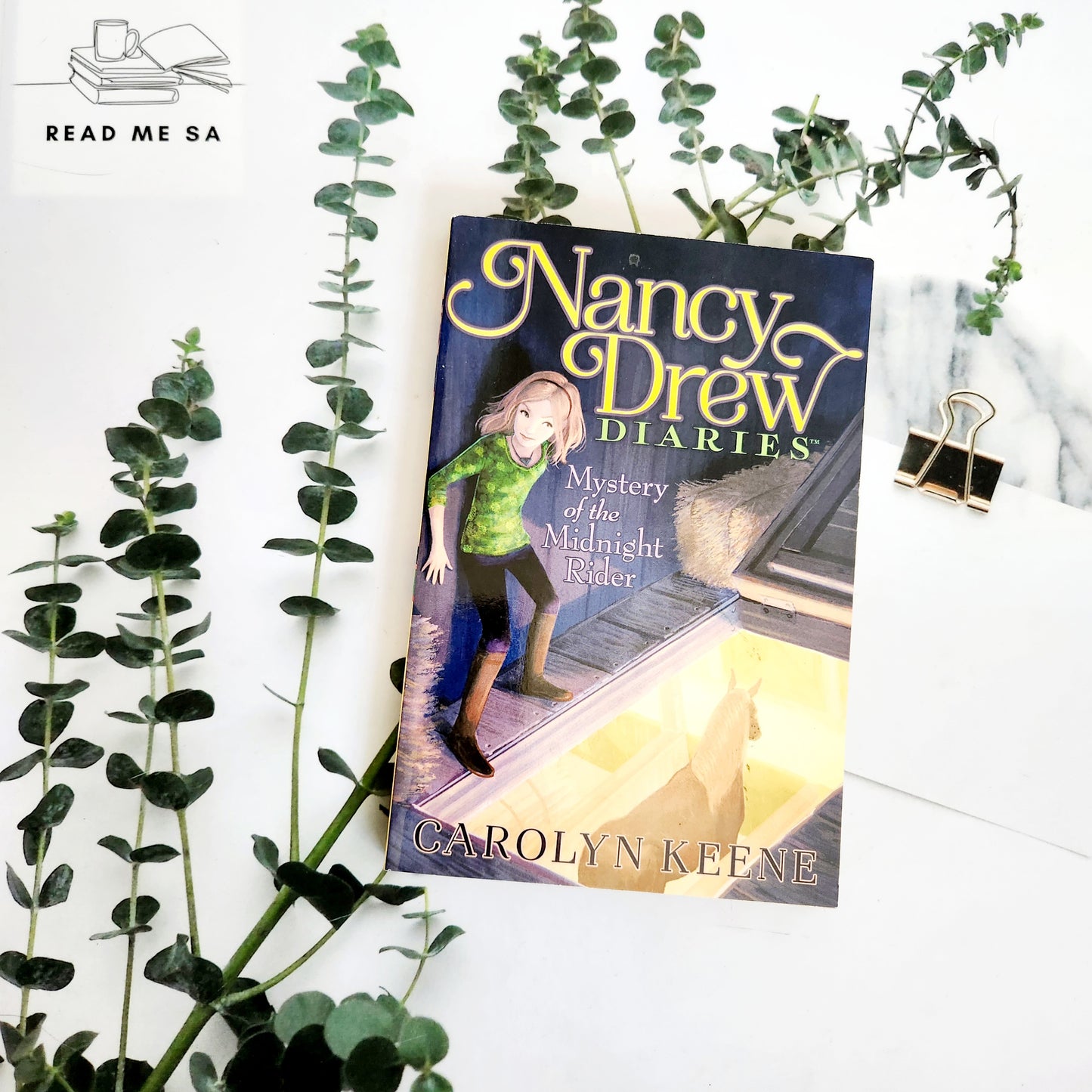 Nancy Drew Diaries