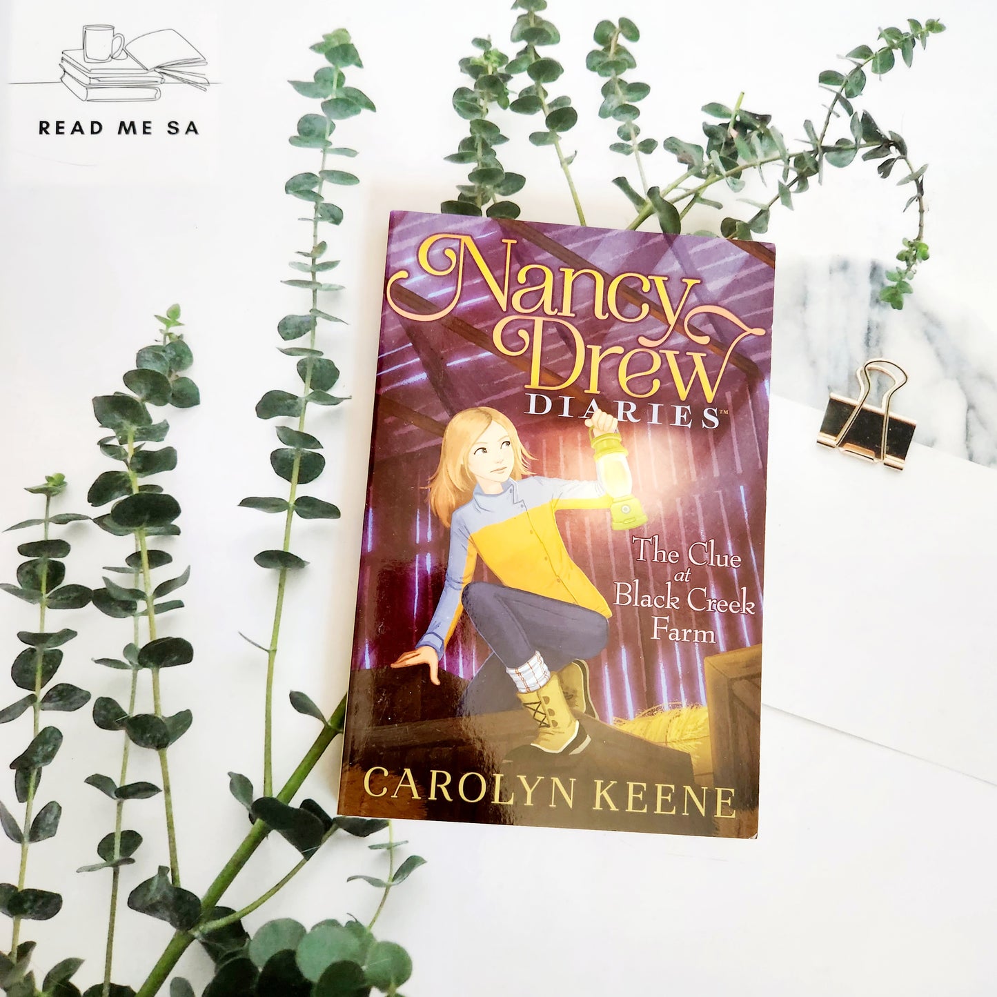 Nancy Drew Diaries