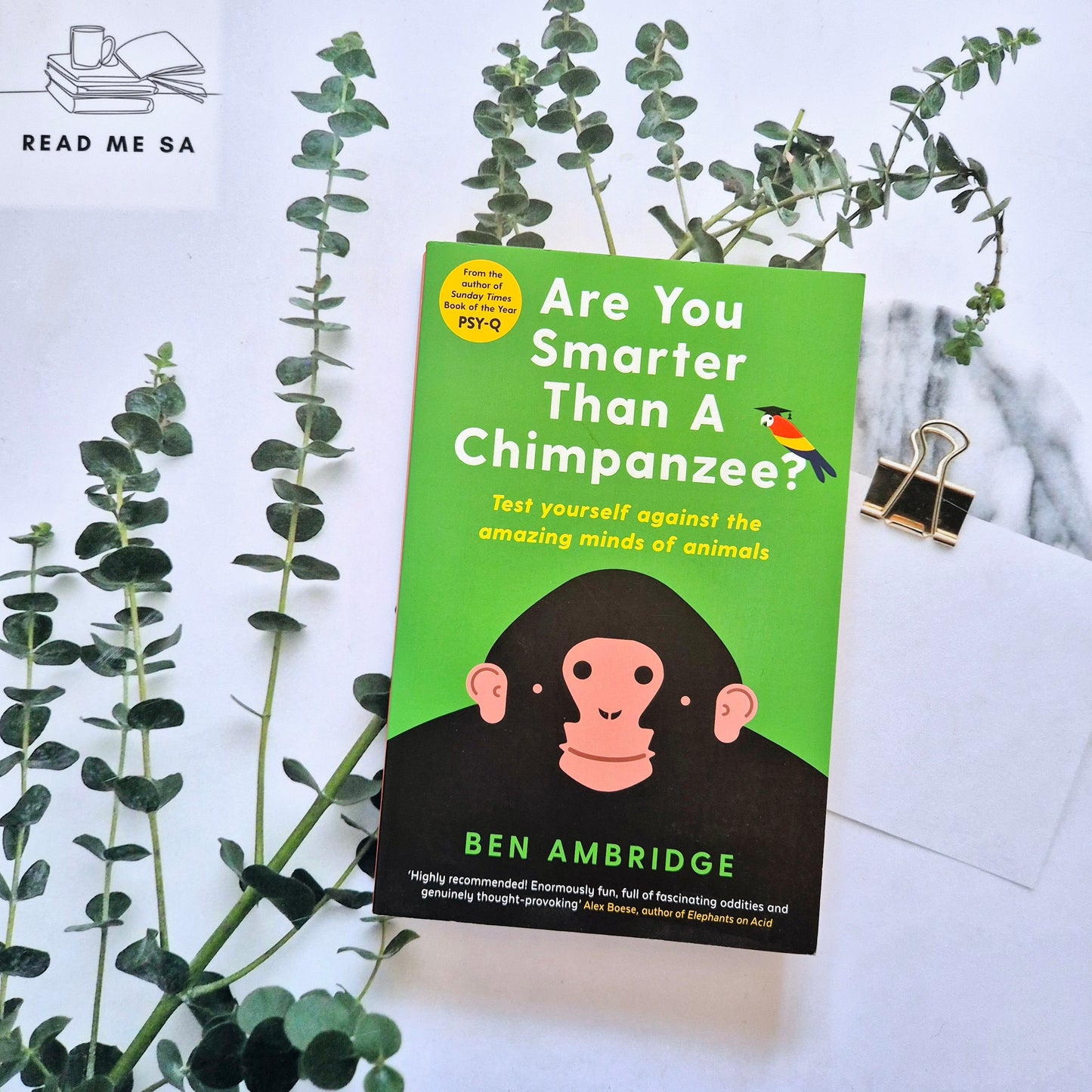 Are You Smarter Than A Chimpanzee?