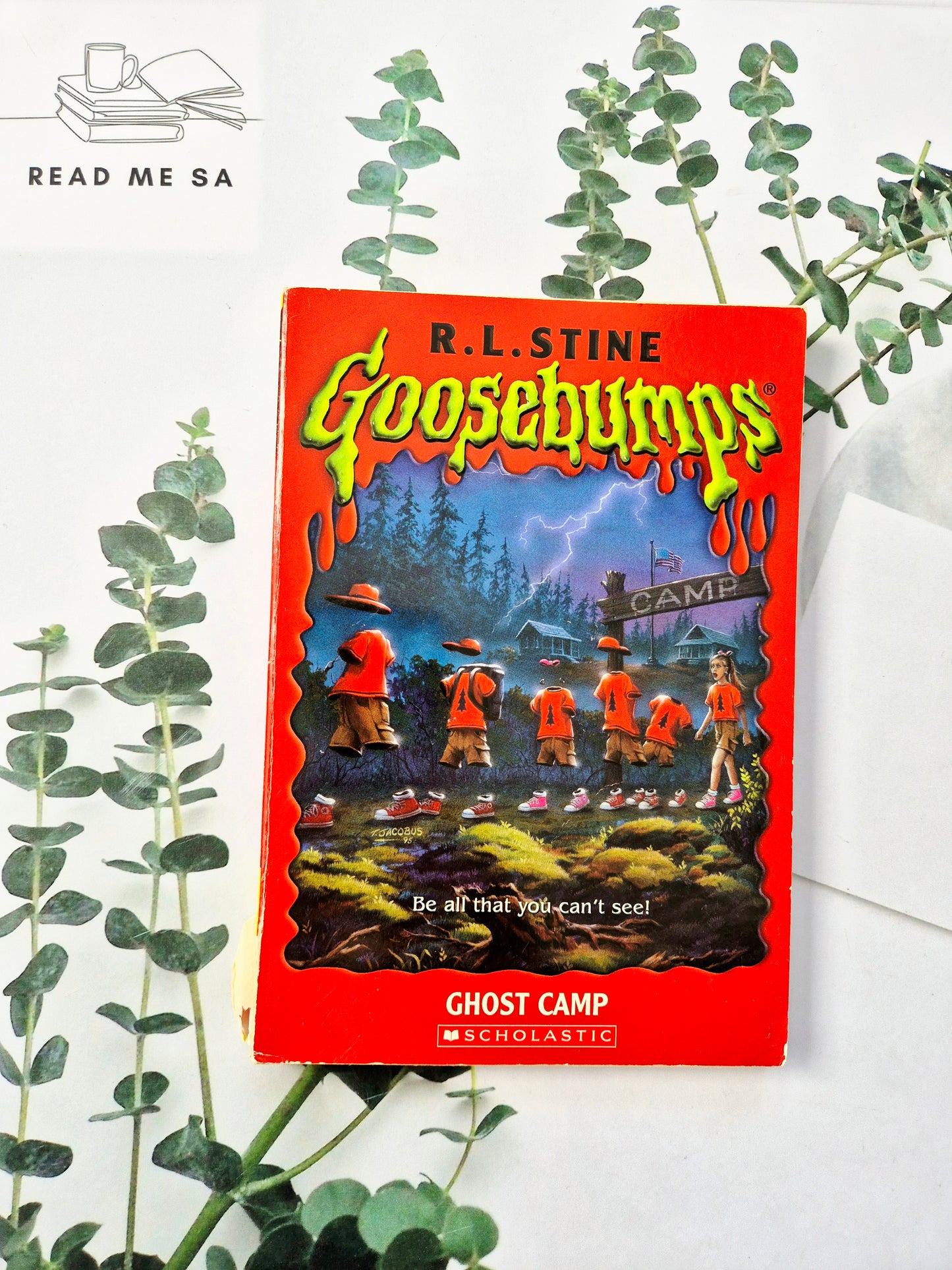 Goosebumps Series