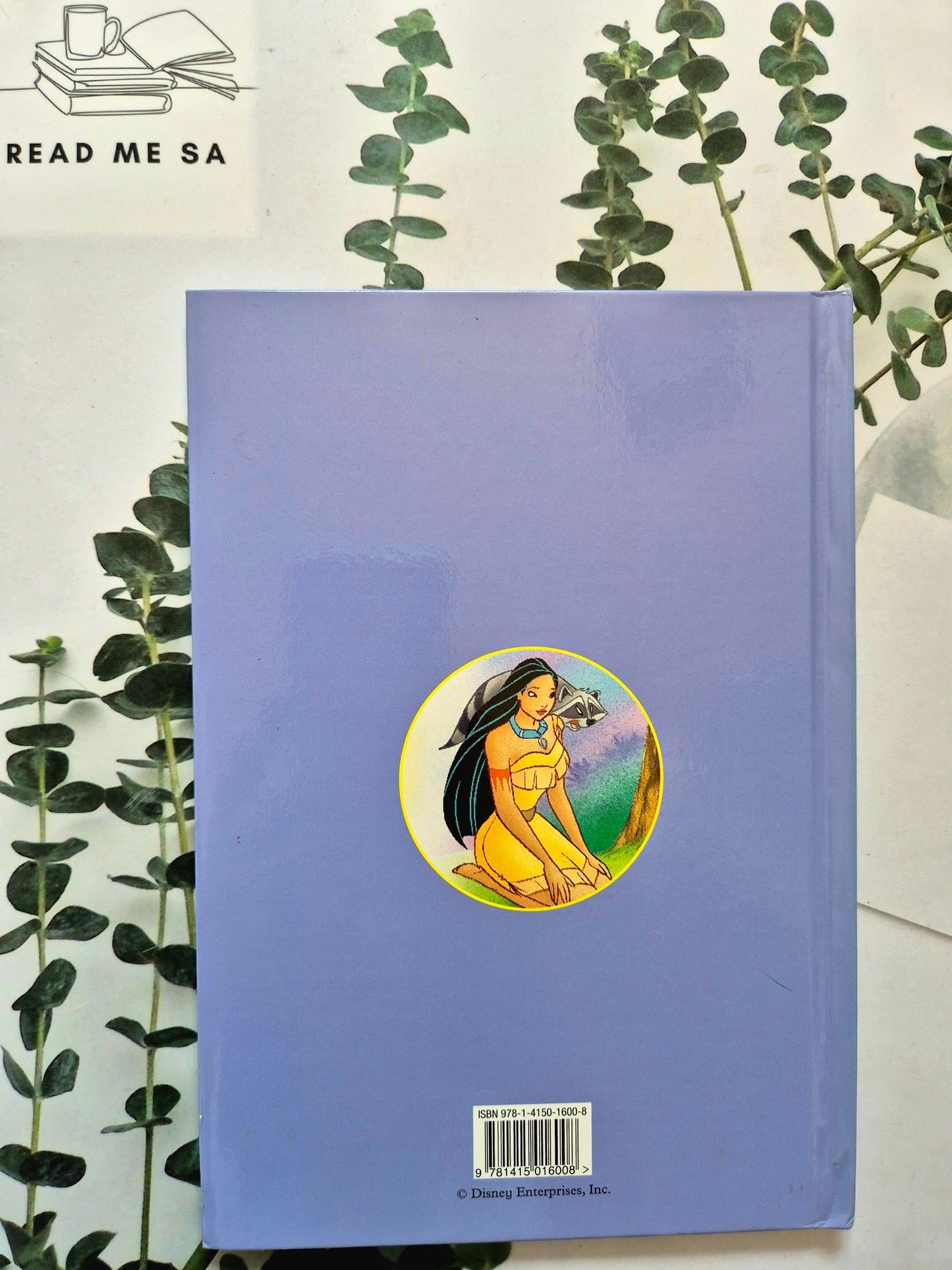 Pocohantas & The Angry Eagle