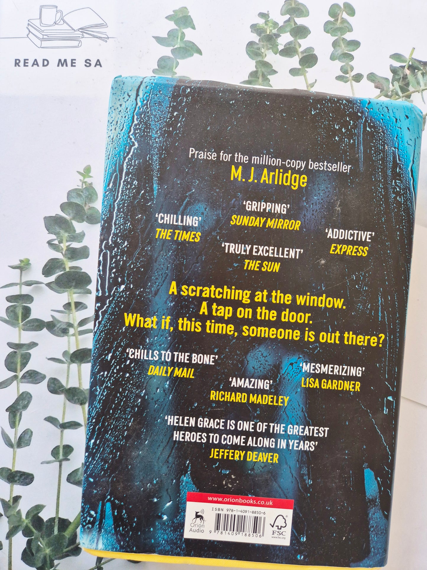 Cat & Mouse (Hardback)
